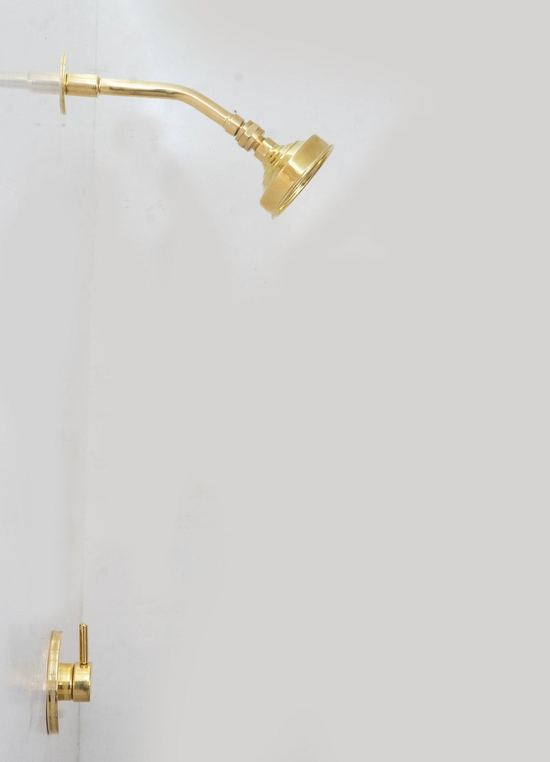 Built-in Solid Brass Shower, Unlacquered Brass Swiveling Showerhead, Rainfall Shower