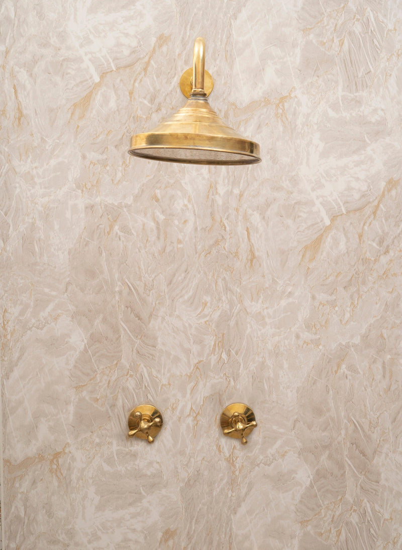 Unlacquered Brass Shower System with Handels & Rough-In Valve included