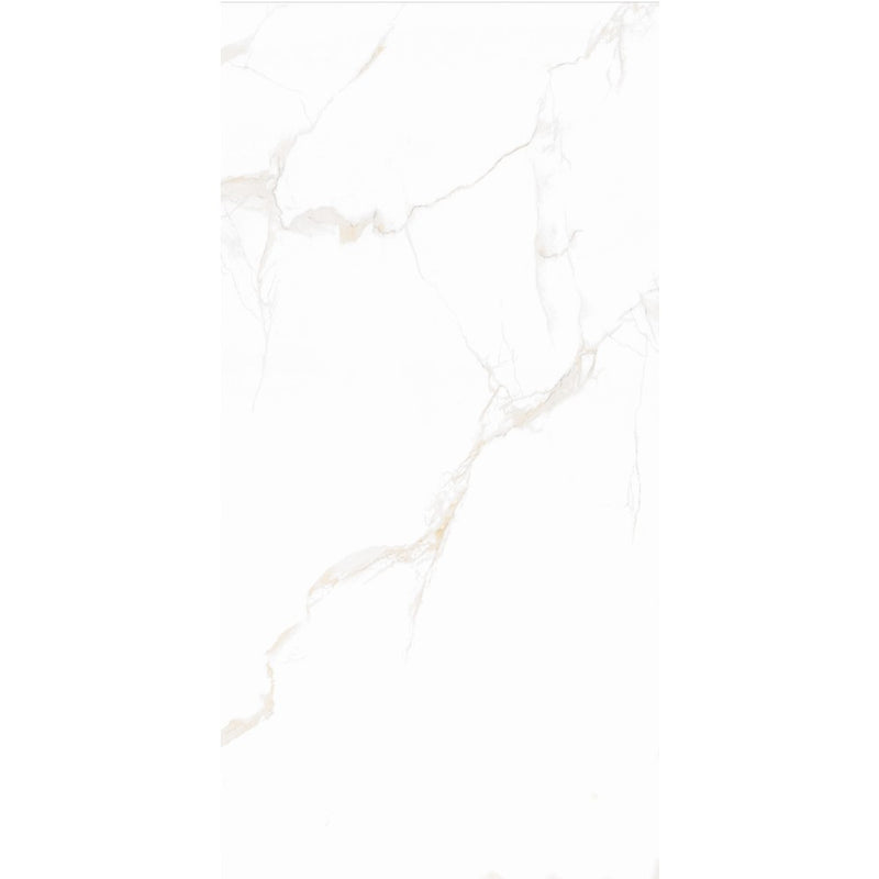 Anka Classic Carrara Gold Glossy Unrectified Porcelain Wall, Floor and Decor Tile